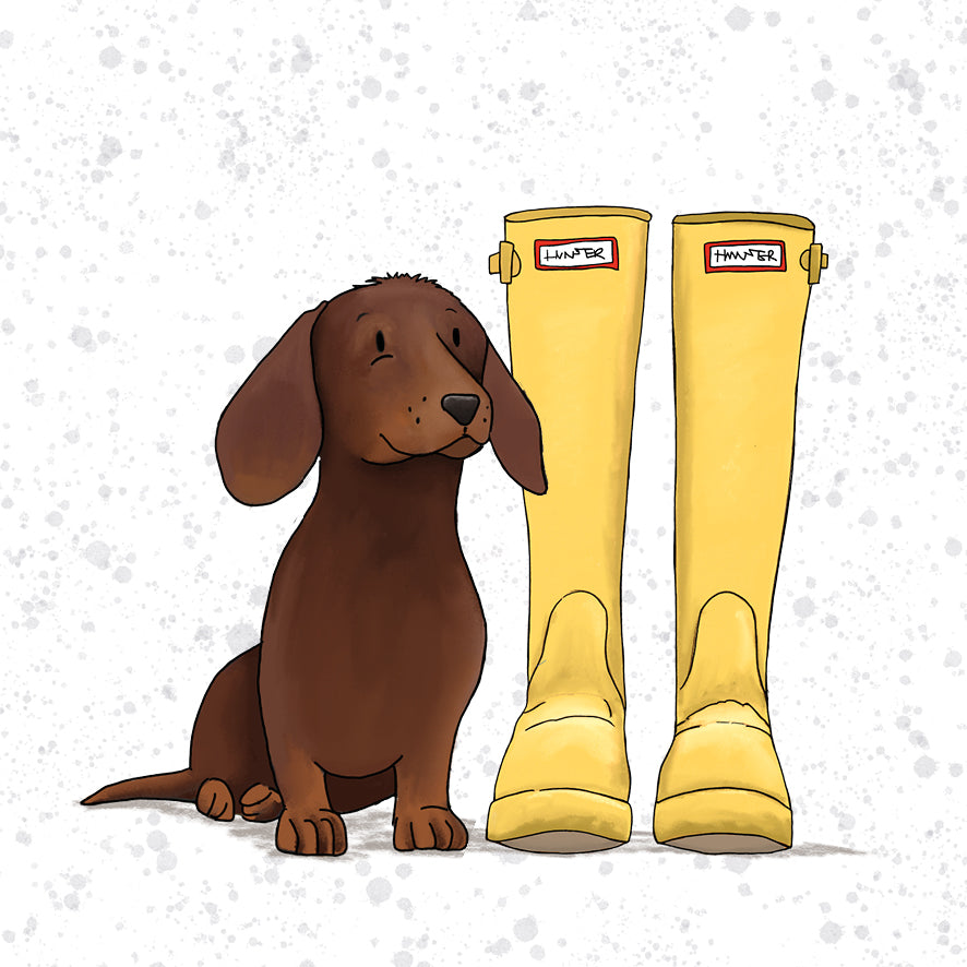 Brown Sausage Dog/Dachshund