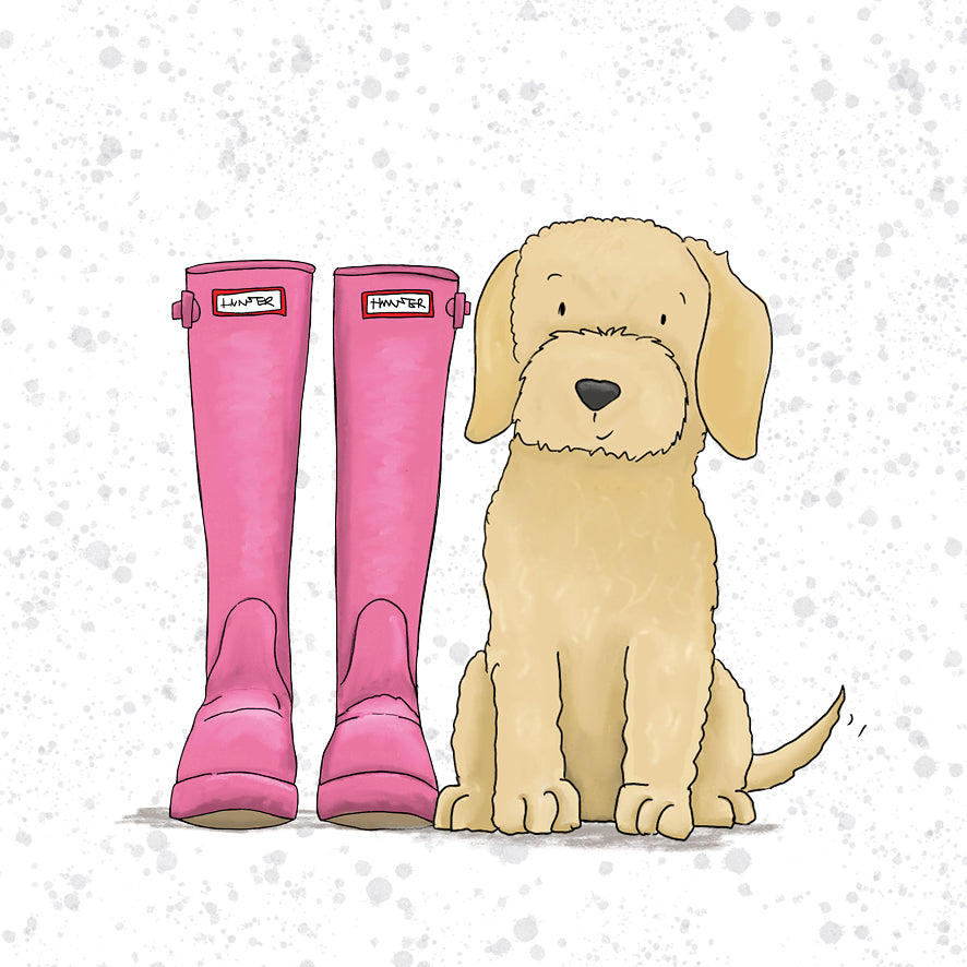 Cockerpoo | Cavapoo | Labradoodle