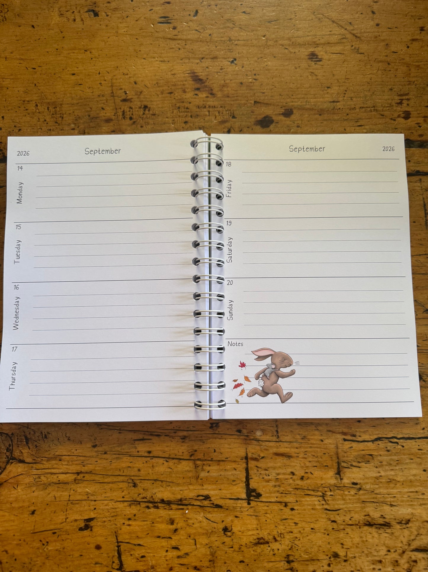 A6 wire bound week to view 2026 diary, featuring lots of characterful illustrations