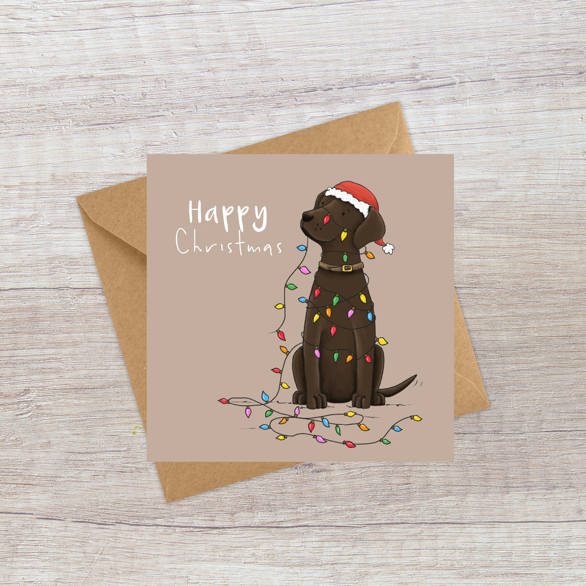 Chocolate Lab & lights