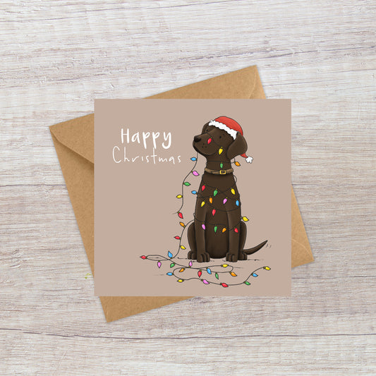 Chocolate Lab & lights