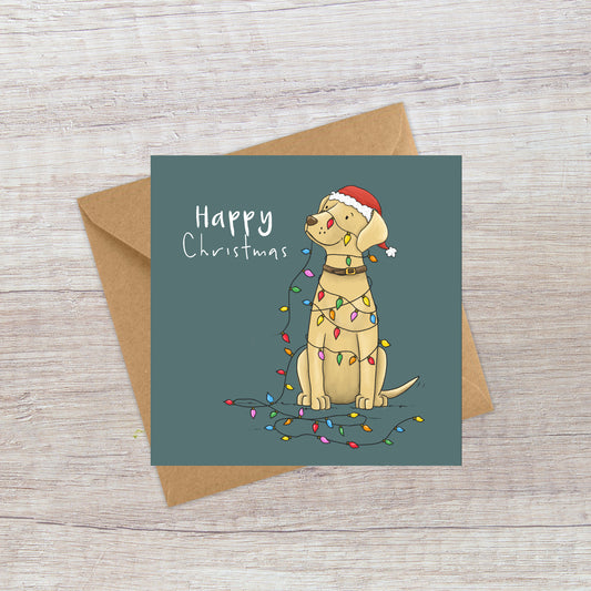 Golden Lab & lights