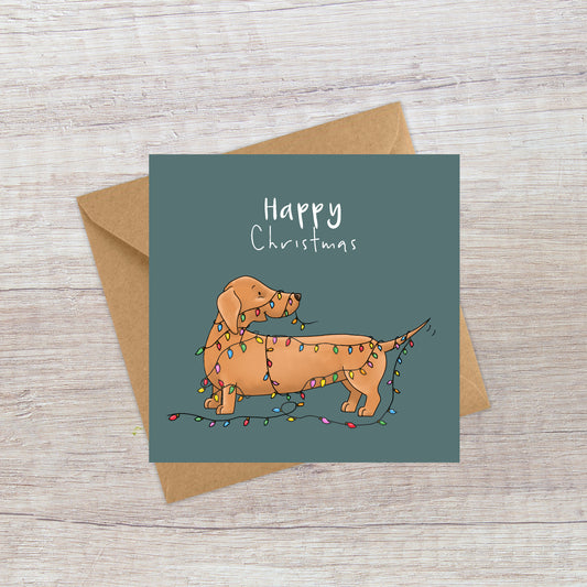 Sausage dog & lights