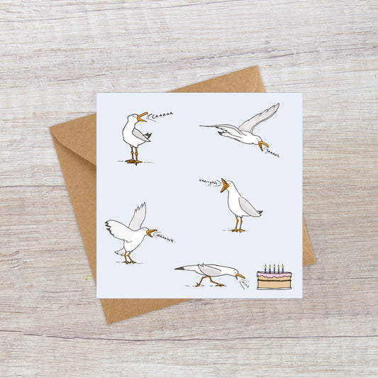 Noisy seagulls