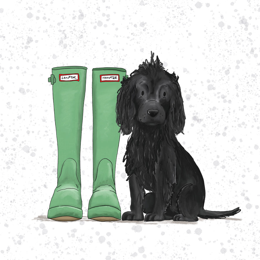 Black Cocker Spaniel