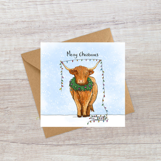 Highland Cow