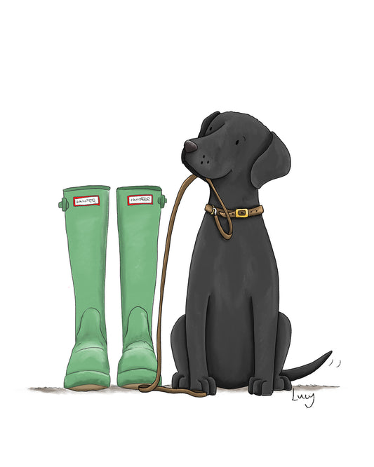 Black Labrador and Wellies