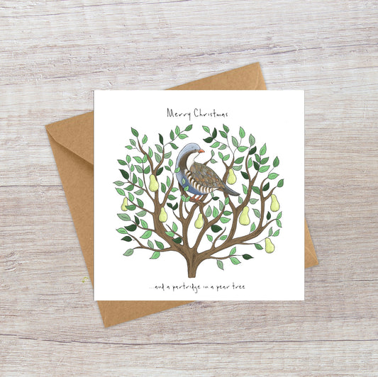 Partridge in a Pear Tree - Twelve Days of Christmas card